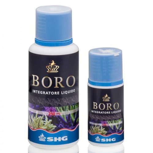 SHG - Boro