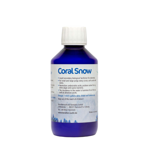 Korallen-Zucht - Coral snow