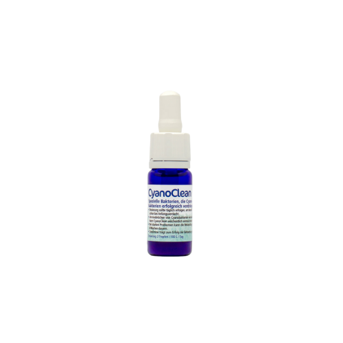 Korallen-Zucht - CyanoClean