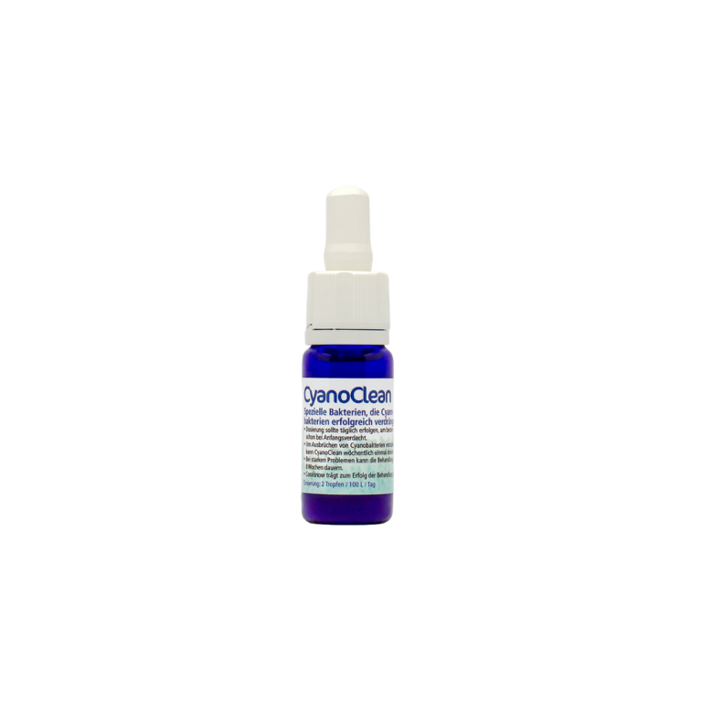 Korallen-Zucht - CyanoClean