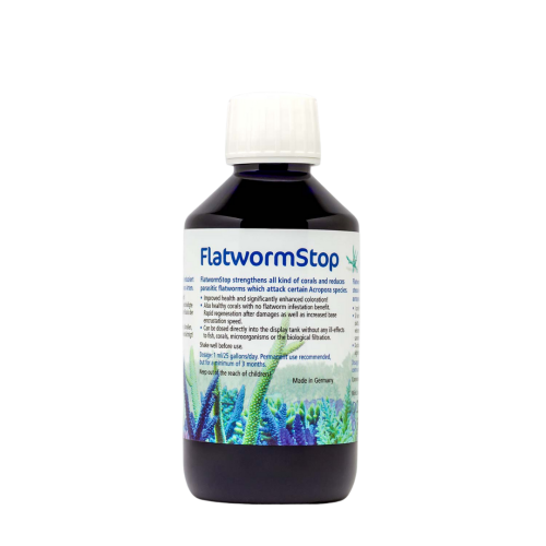 Korallen-Zucht - FlatwormStop