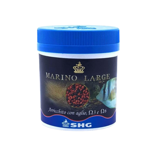 SHG - Marino large