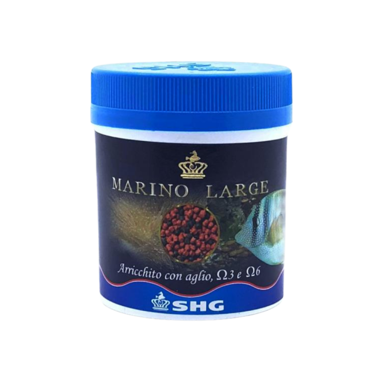 SHG - Marino large