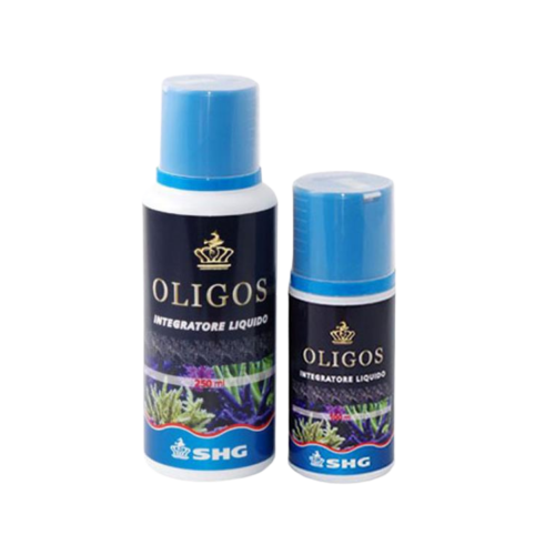 SHG - Oligos
