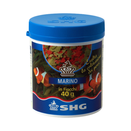 SHG - Premium Marino in fiocchi