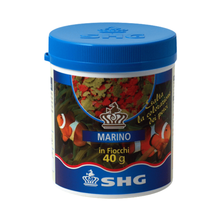 SHG - Premium Marino in fiocchi