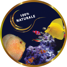 Aglio Liquido Per Acquari 100 Ml - Rafforza Difese Immunitarie Pesci, Per Acquari Marini E Dolci - Foto 5