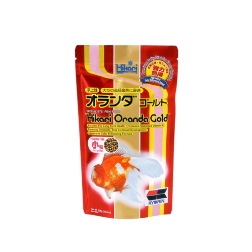 Hikari - Oranda gold