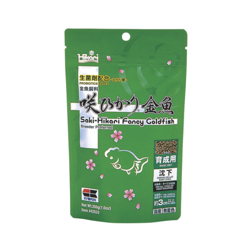 Hikari - Saki Fancy goldfish balance