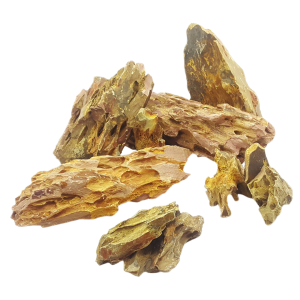 Whimar - Alveolate dragon rock