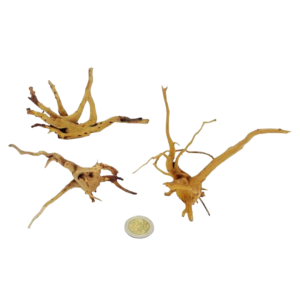 Whimar - Decor nano spider wood