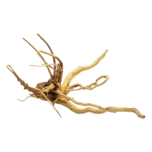 Whimar - Decor spider wood