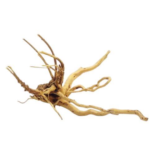 Whimar - Decor spider wood
