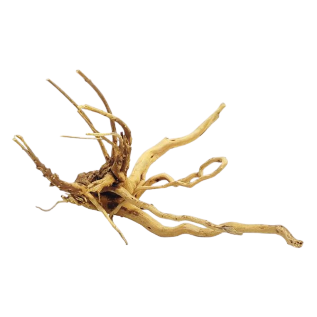 Whimar - Decor spider wood