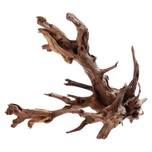 Whimar - Driftwood mangrovia