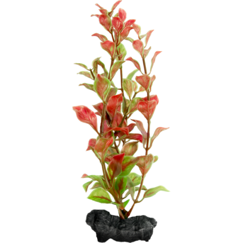 Tetra Pianta Decorativa in Plastica Modello Red Ludwigia (Ludwigia Repens)