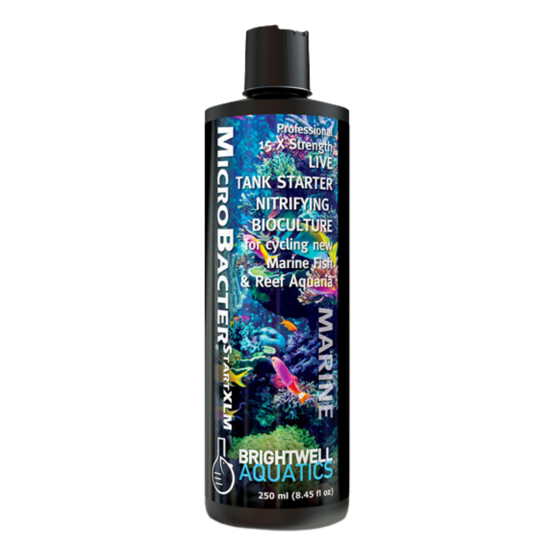 Brightwell Aquatics - MicroBacterStartXLM