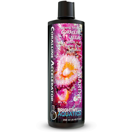 Brightwell Aquatics - Coralline Accelerator - 250ml