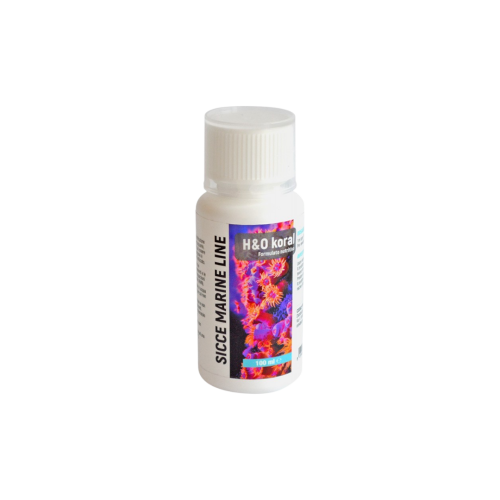 Sicce - H&O Koral