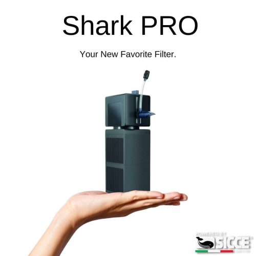 Sicce - Shark PRO
