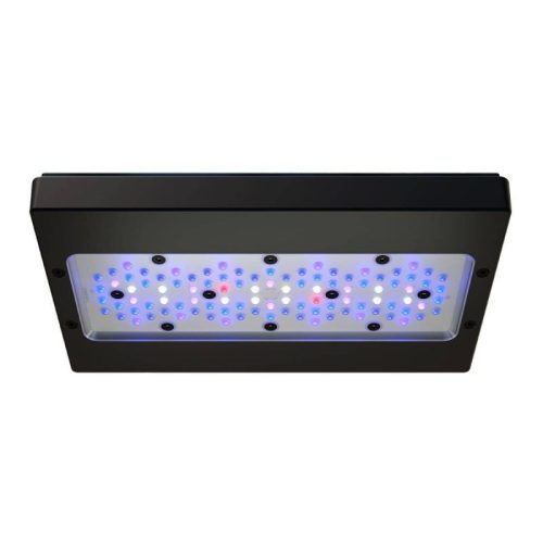 Ecotech Marine - Radion XR30W G6 Blue
