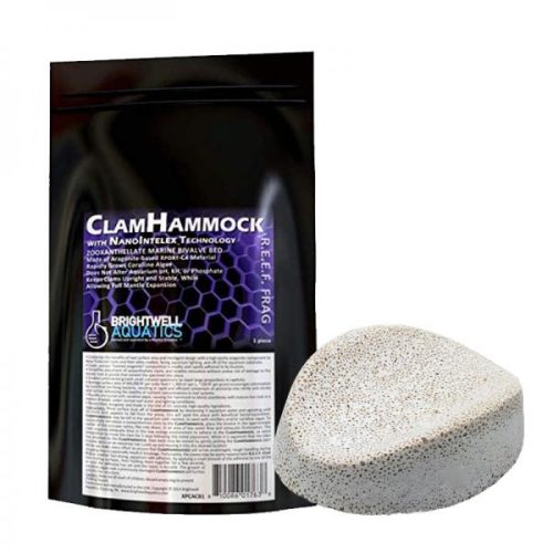Brightwell Aquatics - ClamHammock 1pz
