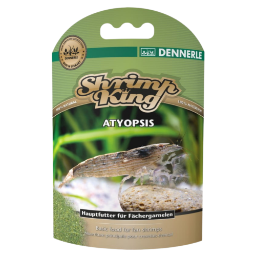 Dennerle - Shrimp king Atyopsis