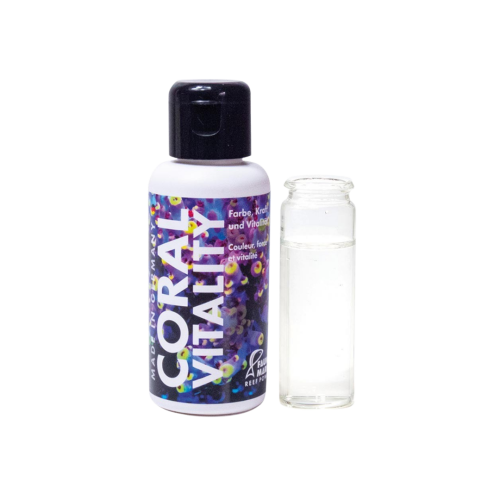 Fauna Marin - Coral vitality