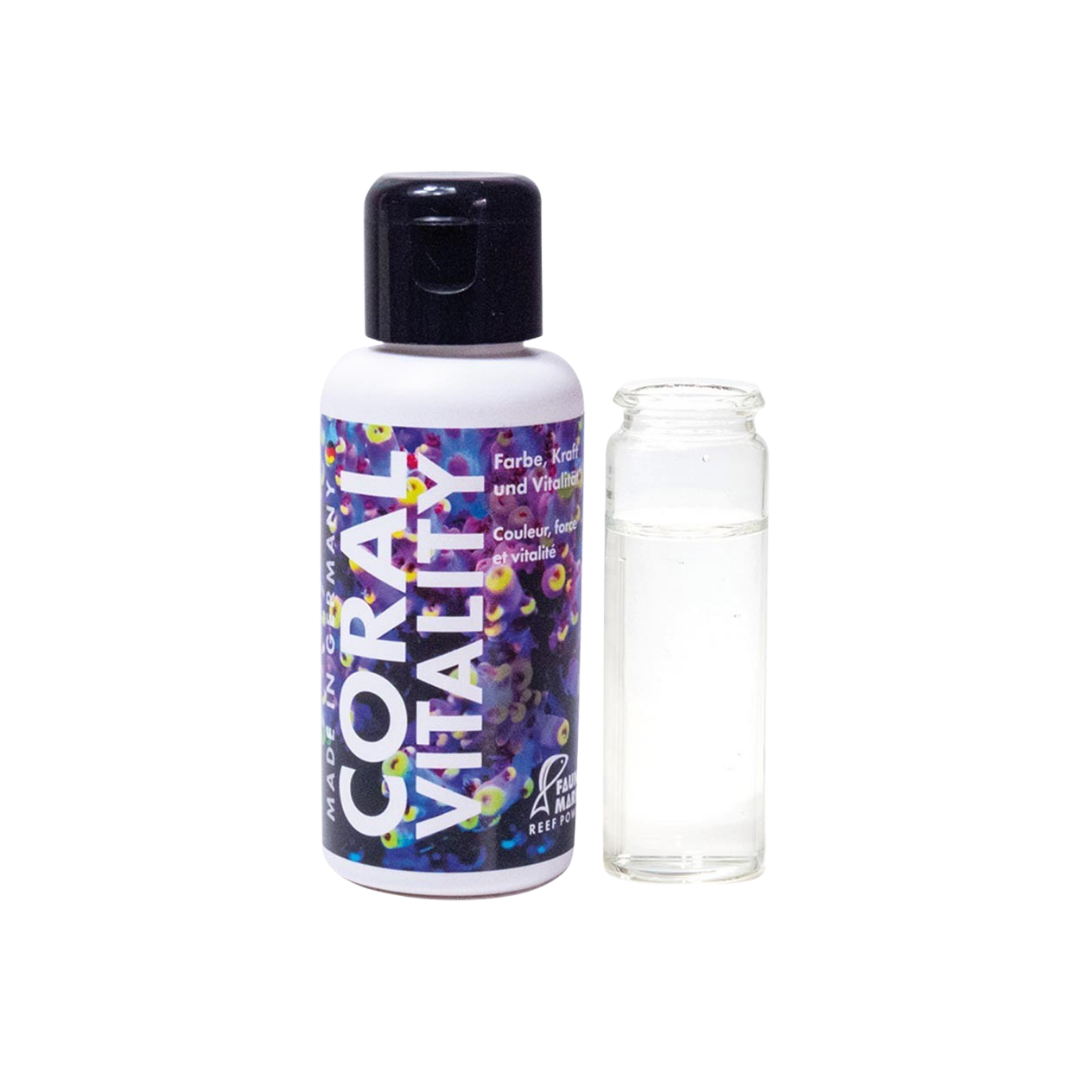 Fauna Marin - Coral vitality