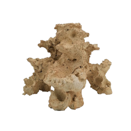 Aquaroche - Nano reef