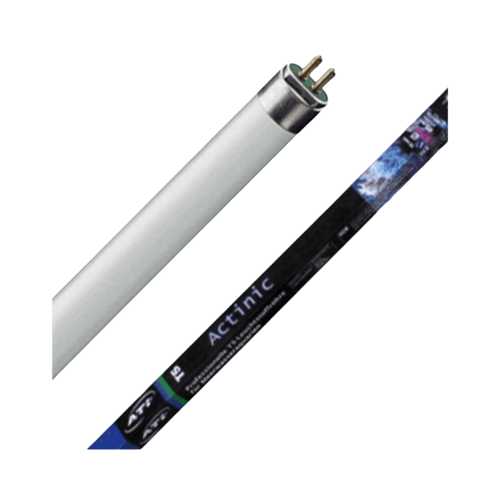 ATI - T5 Actinic