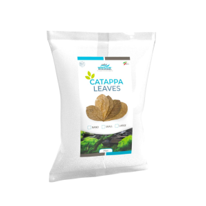 Whimar - Catappa leaves