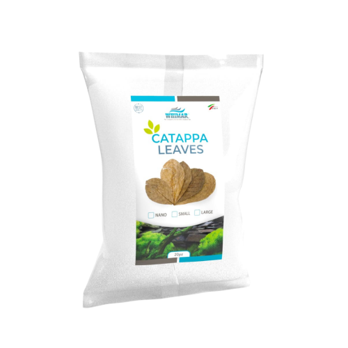 Whimar - Catappa leaves