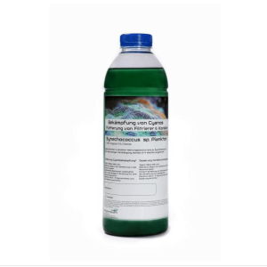 Plankton24 - Synechococcus sp.Plankton - 1000ml