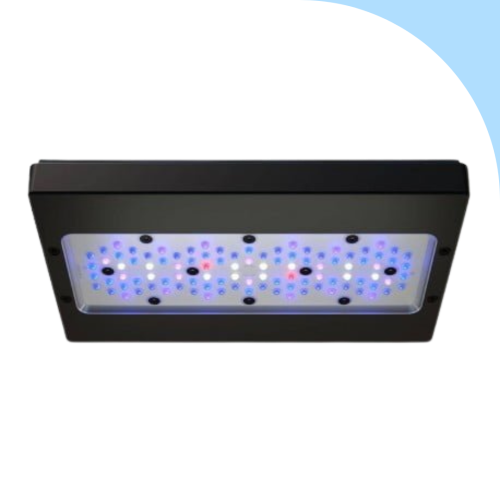 Ecotech Marine - XR30 G6 Blue