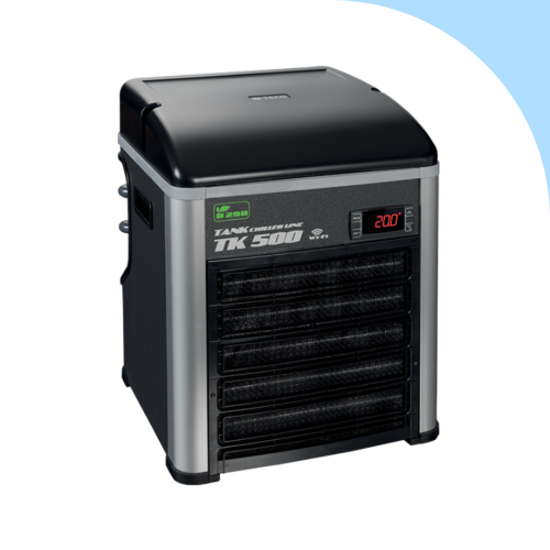 Teco - TK500 noleggio