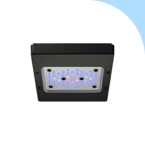 Ecotech Marine - XR15 G6 Blue
