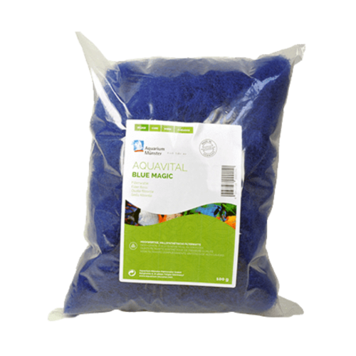 Aquarium Munster - Blue magic