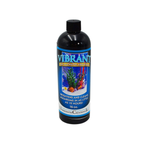 Underwater Creations - Reef vibrant
