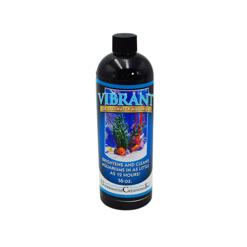 Underwater Creations - Reef vibrant