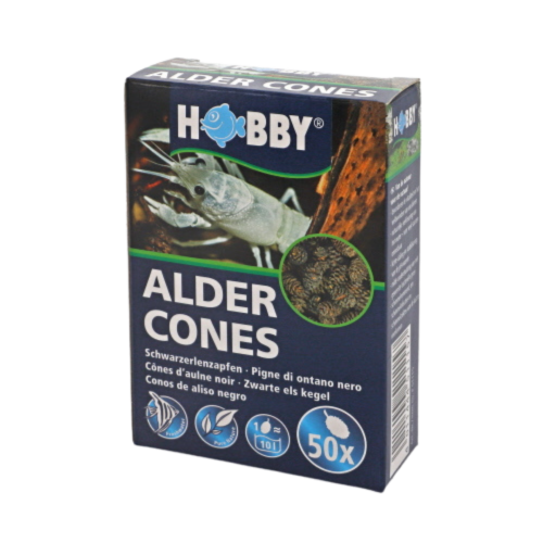 Hobby - Alder cones