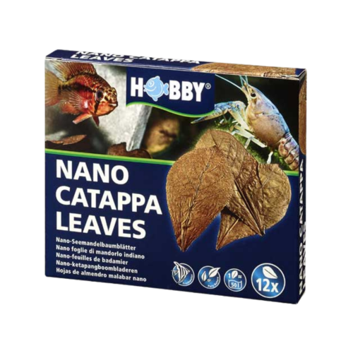 Hobby - Catappa leaves Nano