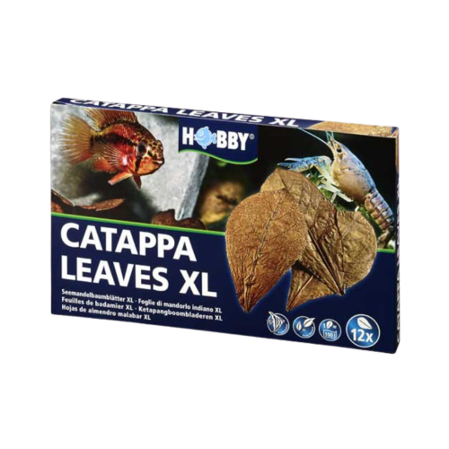 Hobby - Catappa leaves XL