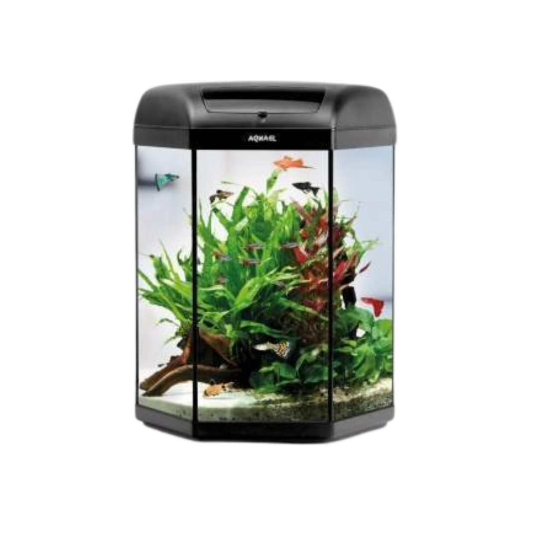 Aquael - Hexa set nero