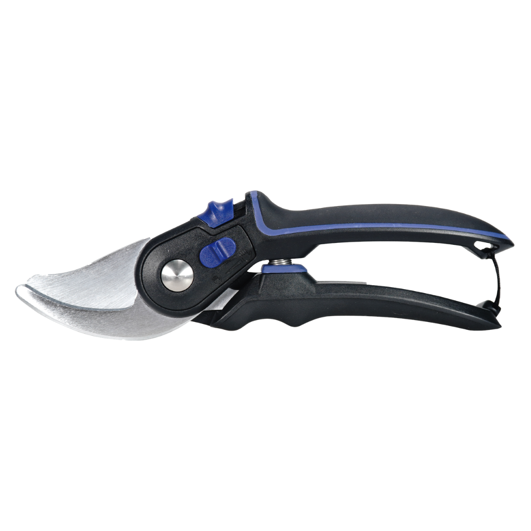 Maxspect - Coral pruner