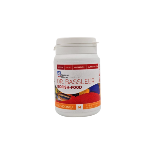 Aquarium Munster - Gse-Moringa