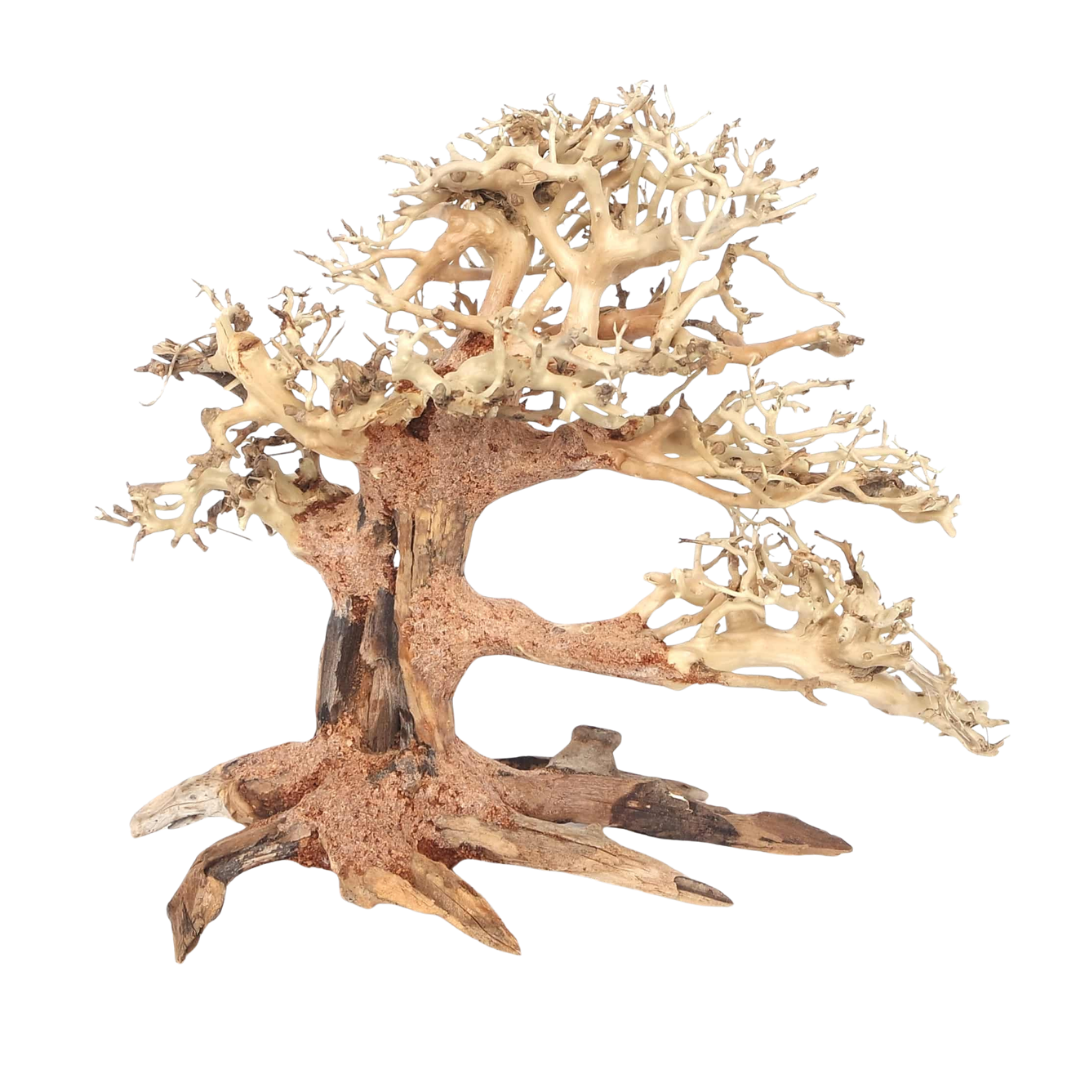 Whimar - Decor bonsai pine