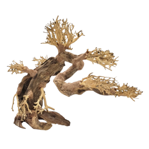 Whimar - Decor bonsai wood