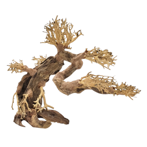 Whimar - Decor bonsai wood
