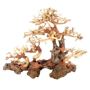 Whimar - Decor family bonsai wood